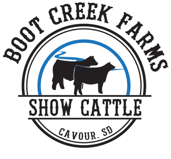 Boot Creek Farms Show Cattle